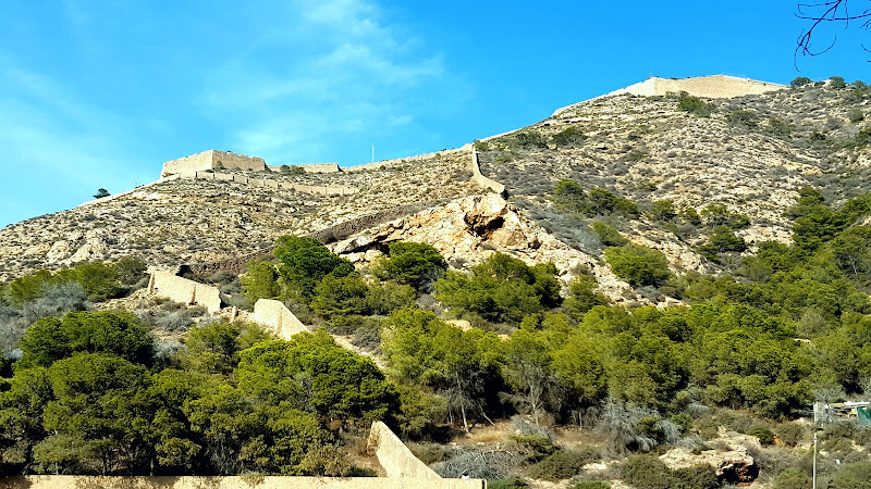 La Algameca
