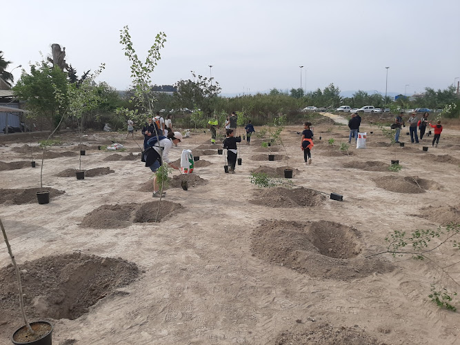 Bosque Urbano Ricardo Codorníu