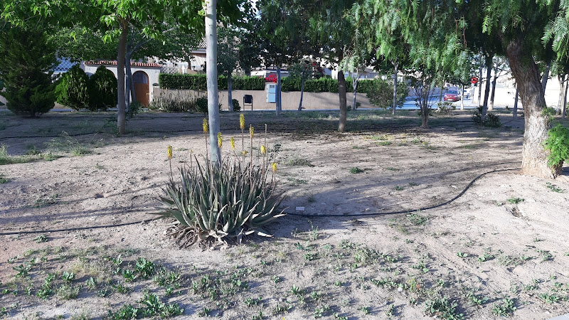 Plaza Leoncio Sánchez Sáez