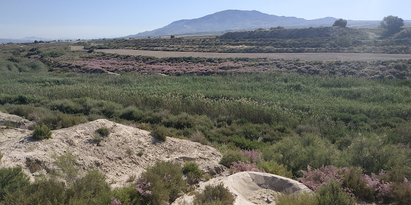 Mirador Guadalentin