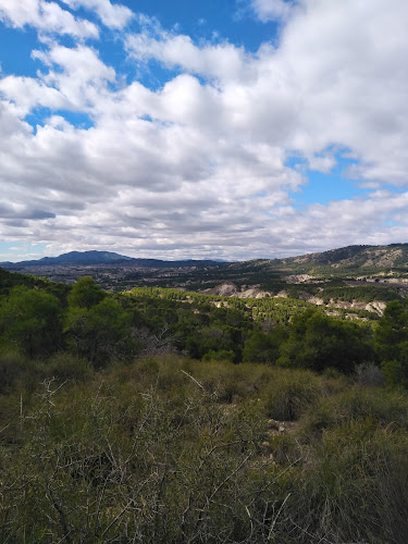 Vagón de Tren