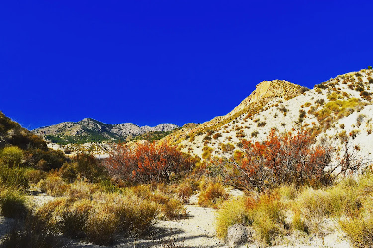 Barranco del Socavón