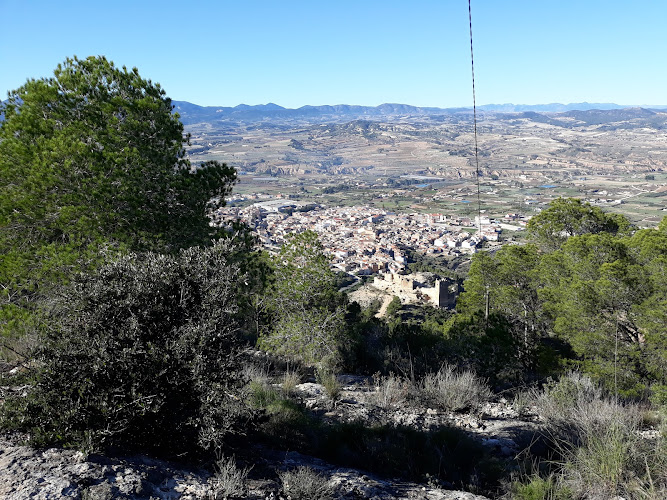 Mirador Pliego