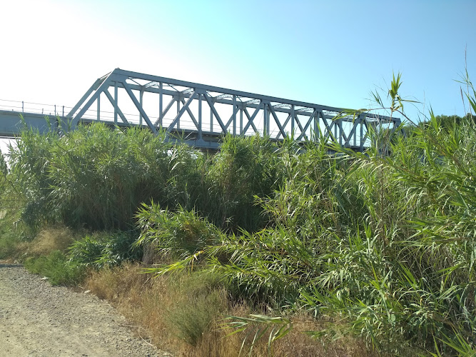 Puente Ferroviario Río Segura