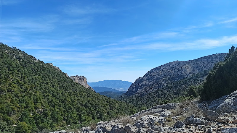 Paredes de Leiva