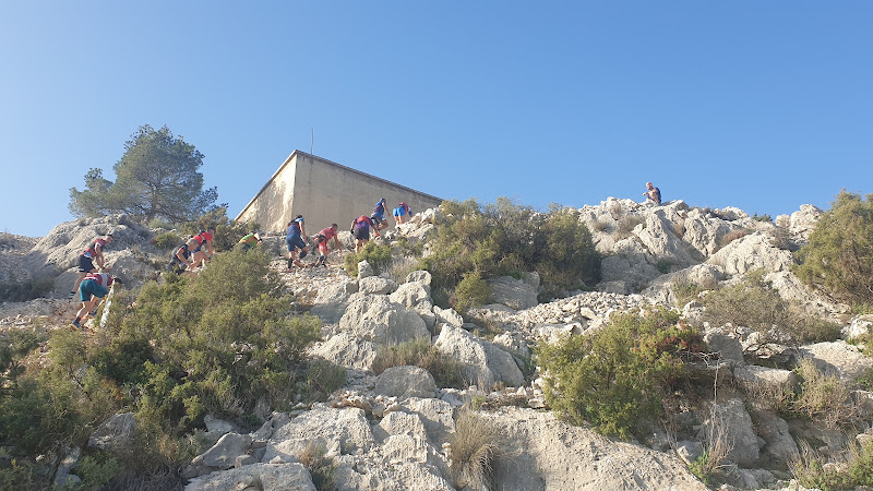 Carrera Falco Trail