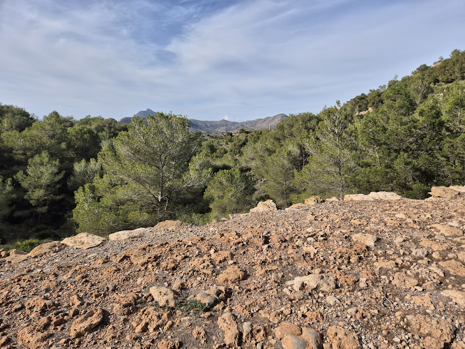 Calzada Romana Monte Cenizas