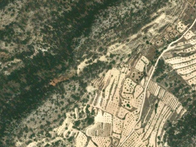 Pista forestal del hondo