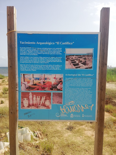 Yacimiento Arqueológico de El Castillico