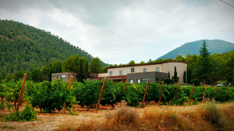 Bodegas Lavia